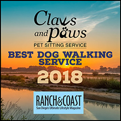 Claws and Paws - Best Dog Walking Service 2018