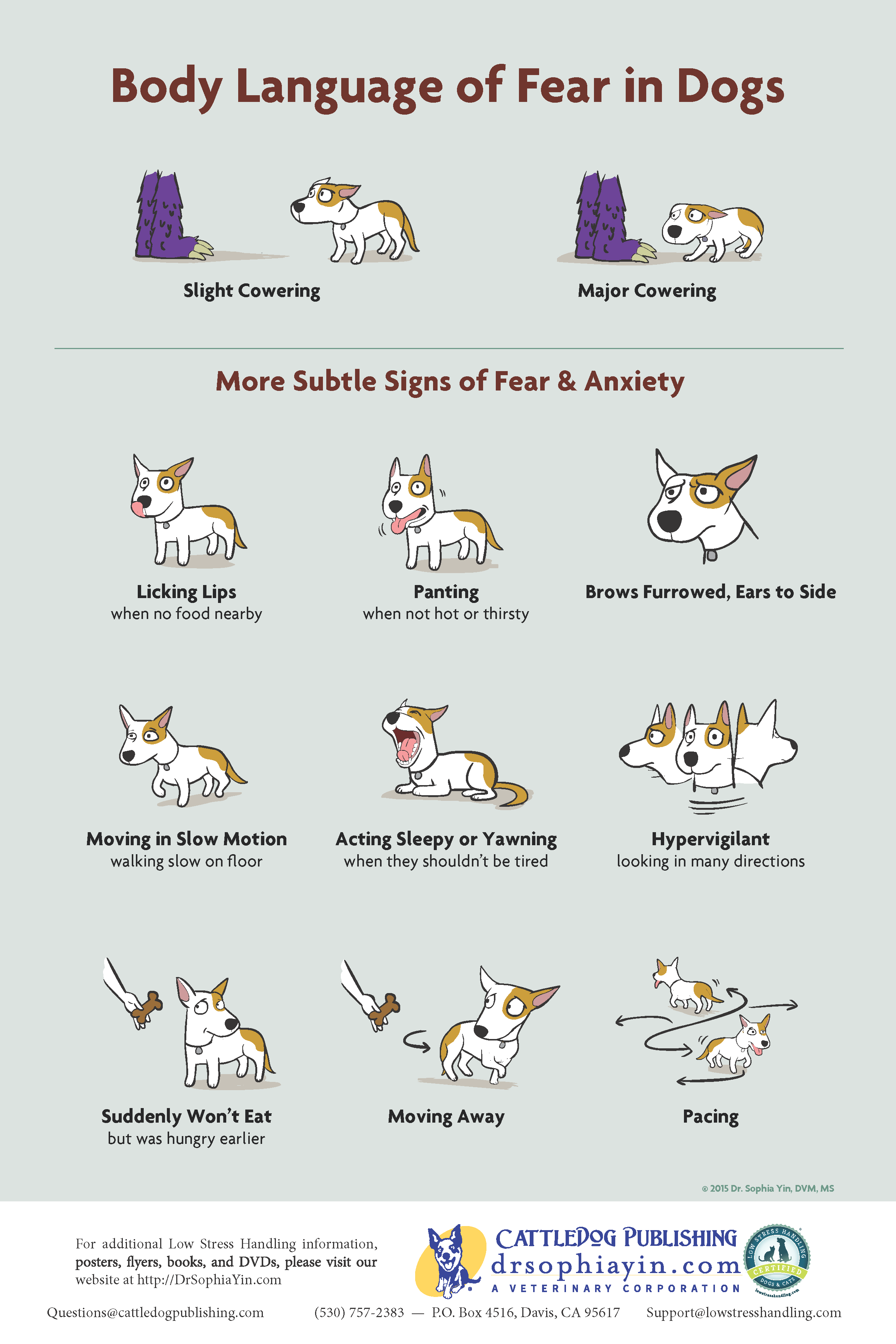 body language of fear in dogs