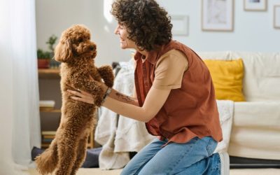 Woman-Playing-with-Her-Pet-at-Home-September-Blog