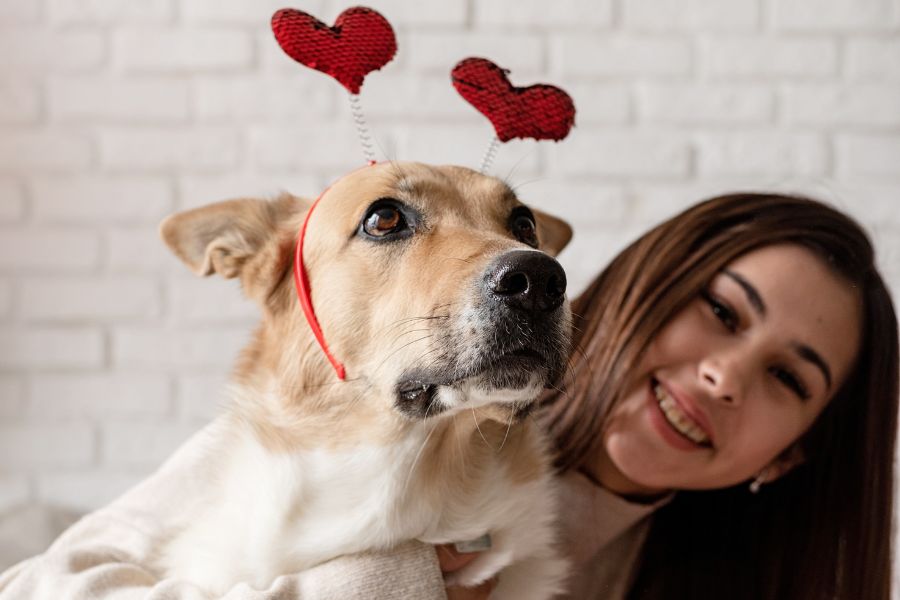 15 Ways To Love Your Pet This Valentine’s Day