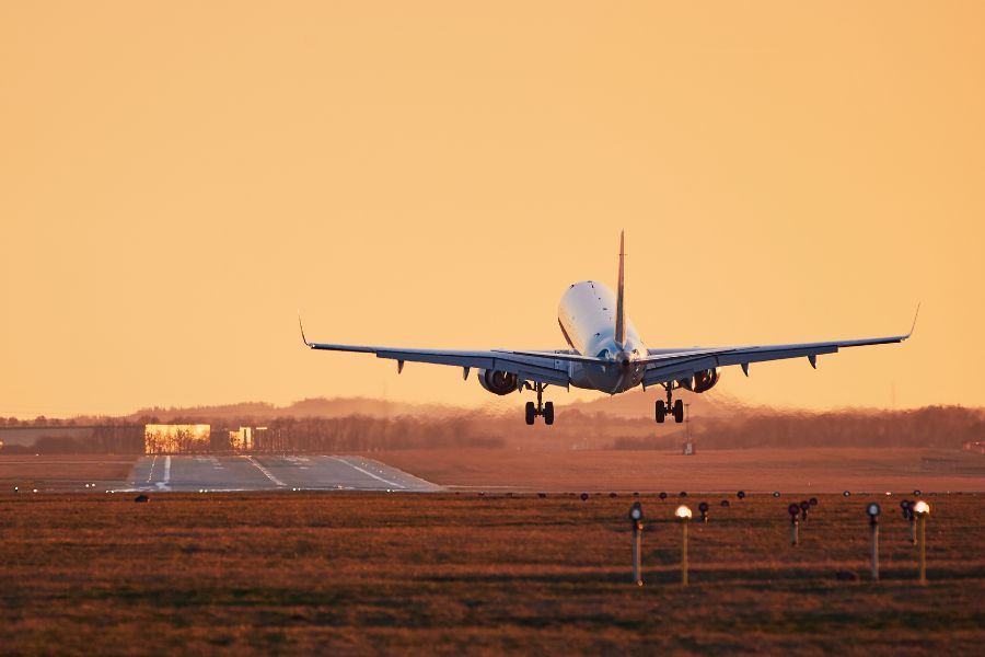 Traveling This Summer? 5 Smart Pet Prep Tips (and Why In-Home Pet Sitting Beats Boarding)