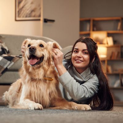 live in pet care 24 hour service