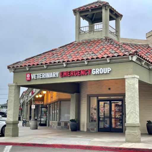 Veterinary Emergency Group (VEG)