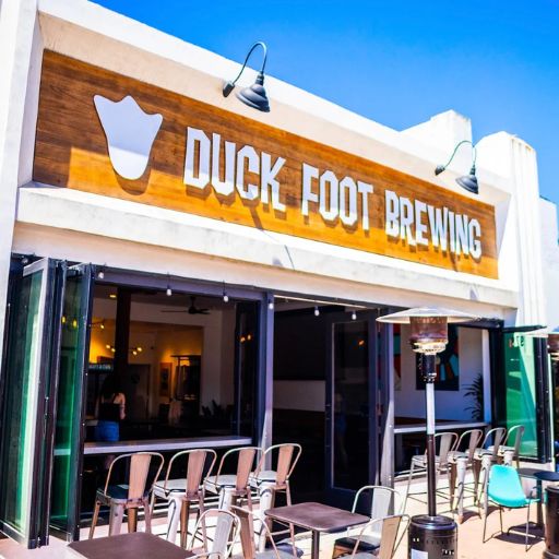 Duck Foot Brewing