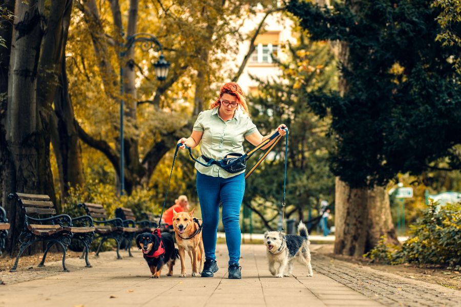 Pet Sitter Education Month