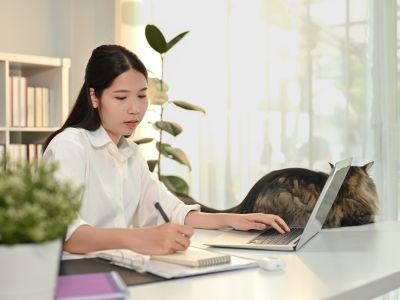 pet sitter month
